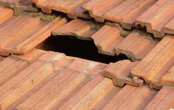 roof repair Low Ellington, North Yorkshire