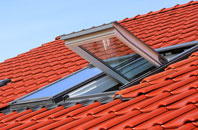 Low Ellington roof window